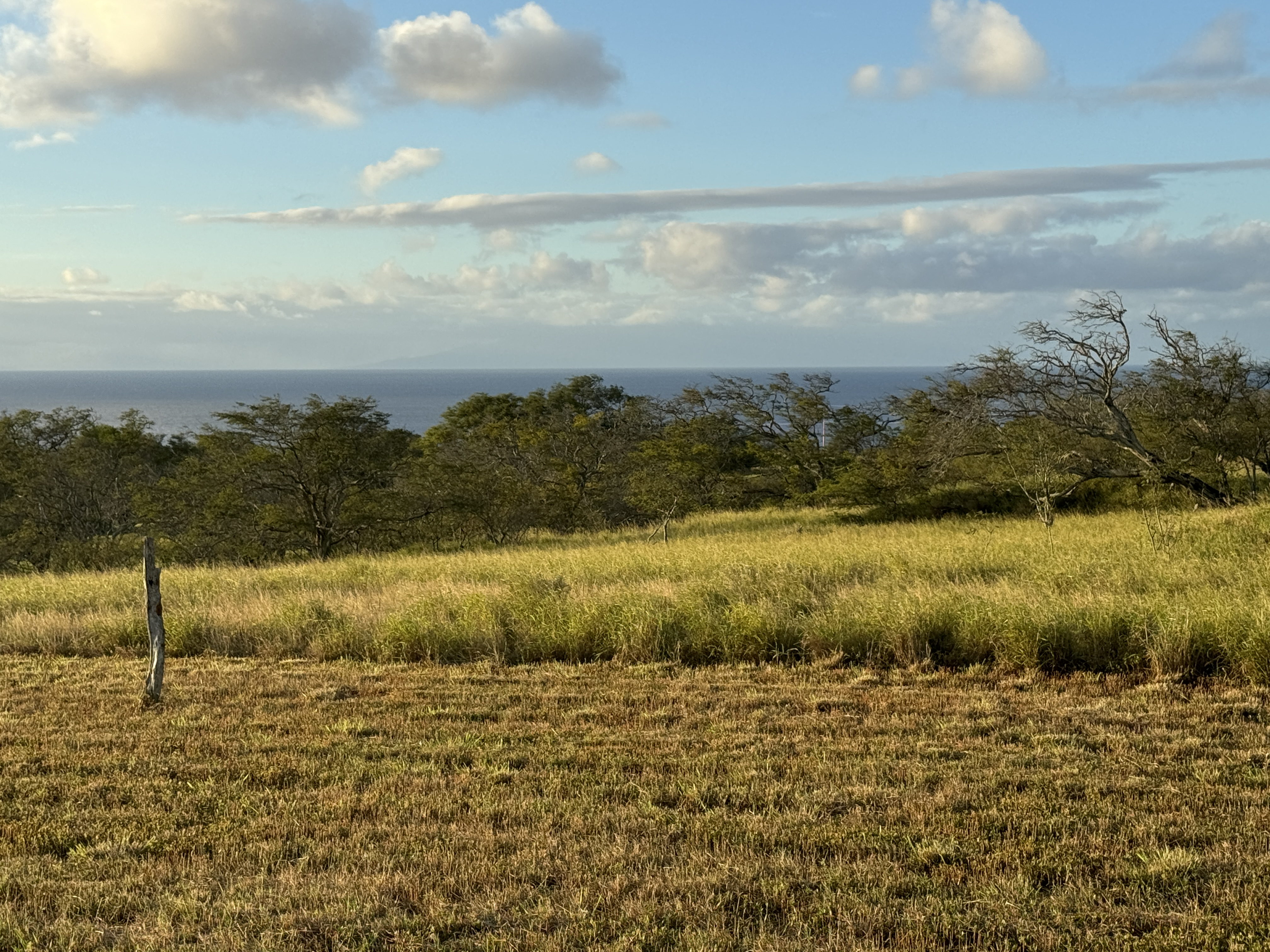 56-135 Lot 8-a Pualani Road Kamuela, HI 96743 - Photo 6 of 28 a view of a lake with a yard
