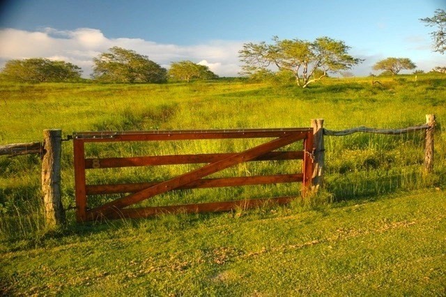 56-135 Lot 8-a Pualani Road Kamuela, HI 96743 - Photo 7 of 28 a view of an ocean from a balcony