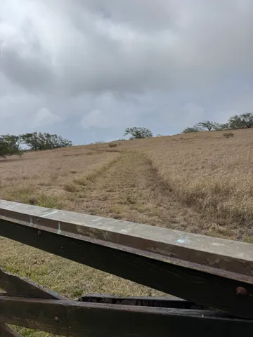 a view of a lake with a mountain