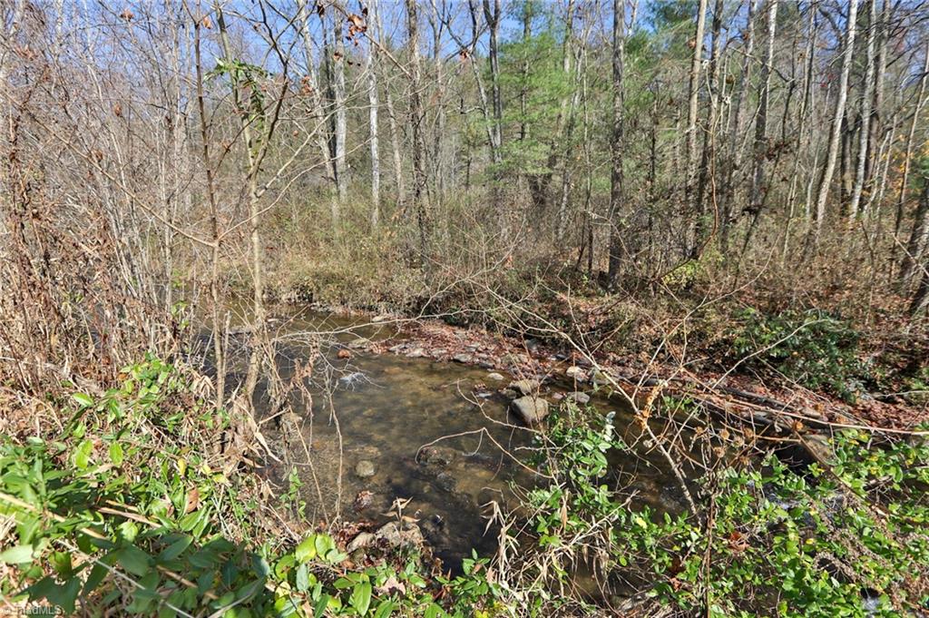 185 Eagle Hills Road Purlear, NC 28665 - Photo 46 of 49 Gallery Image 46