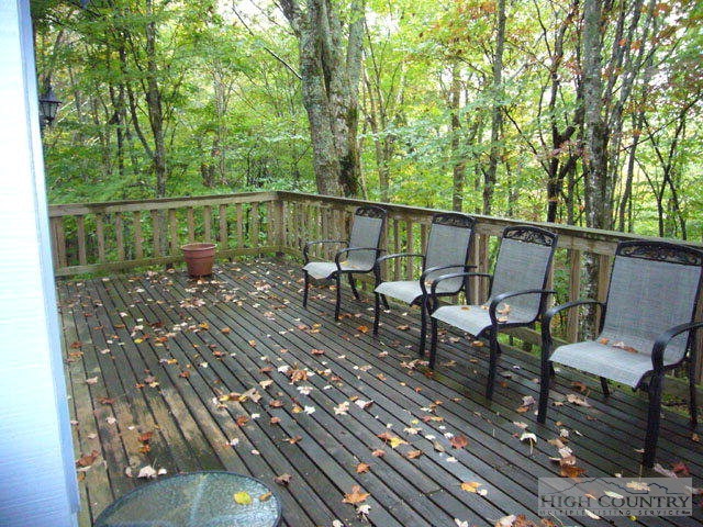 205 Pine Ridge Road Beech Mountain, NC 28604 - Photo 5 of 11
