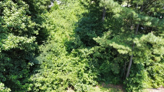 a view of a lush green forest with lots of trees