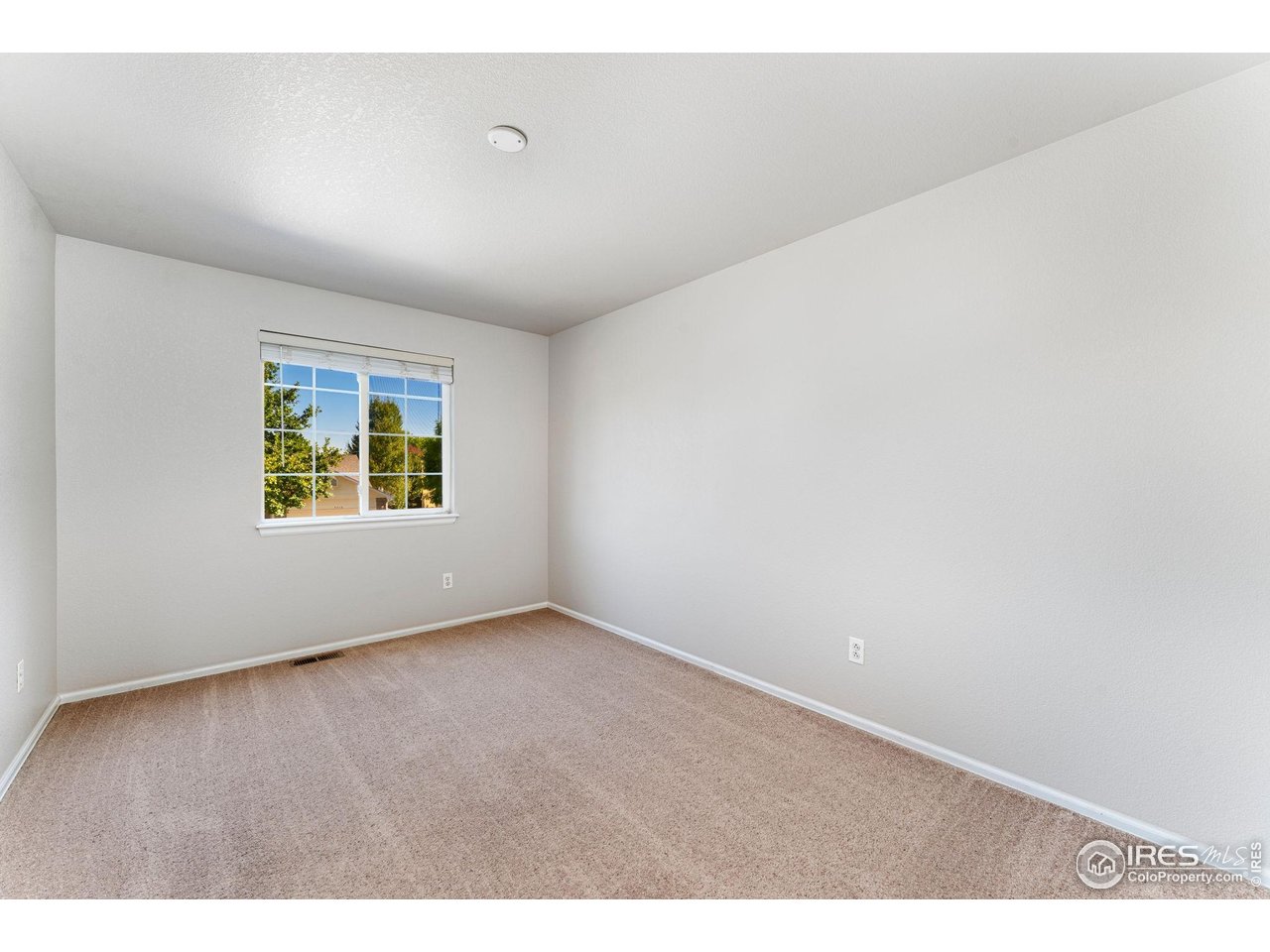5415 Wolf Street Frederick, CO 80504 - Photo 20 of 29 an empty room with windows