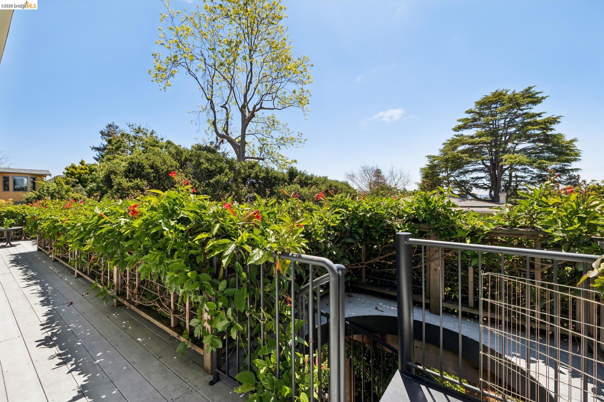 664 Vincente Avenue Berkeley, CA 94707 - Photo 43 of 54