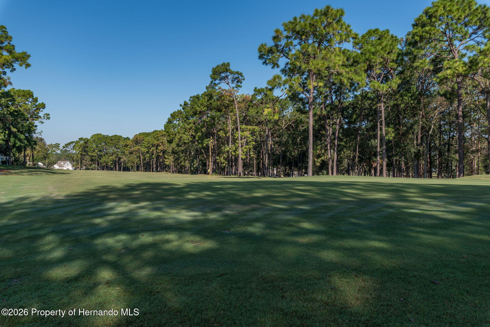 7340 Devine Avenue Brooksville, FL 34613 - Photo 50 of 56 50-web-or-mls-DSC_6558