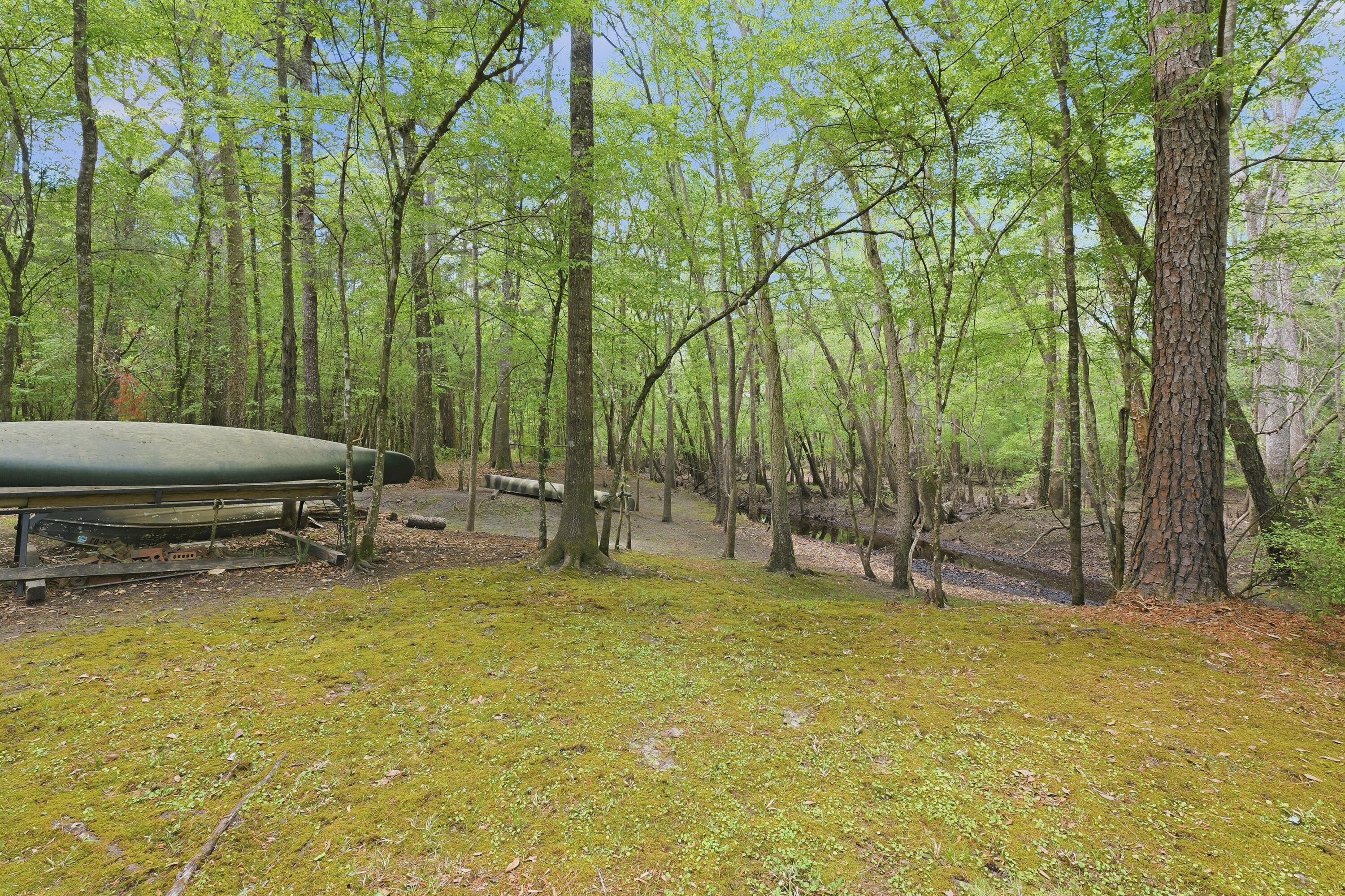 150 Franks Lane Ridgeville, SC 29472 - Photo 10 of 52