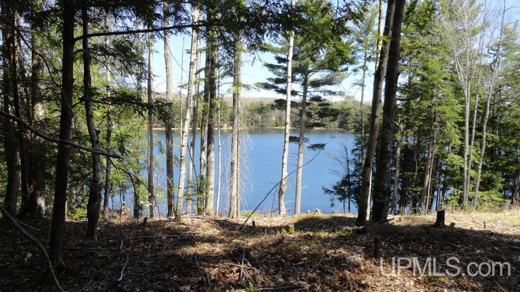 E9606 South Town Line Lake Road Wetmore, MI 49895 - Photo 1 of 6