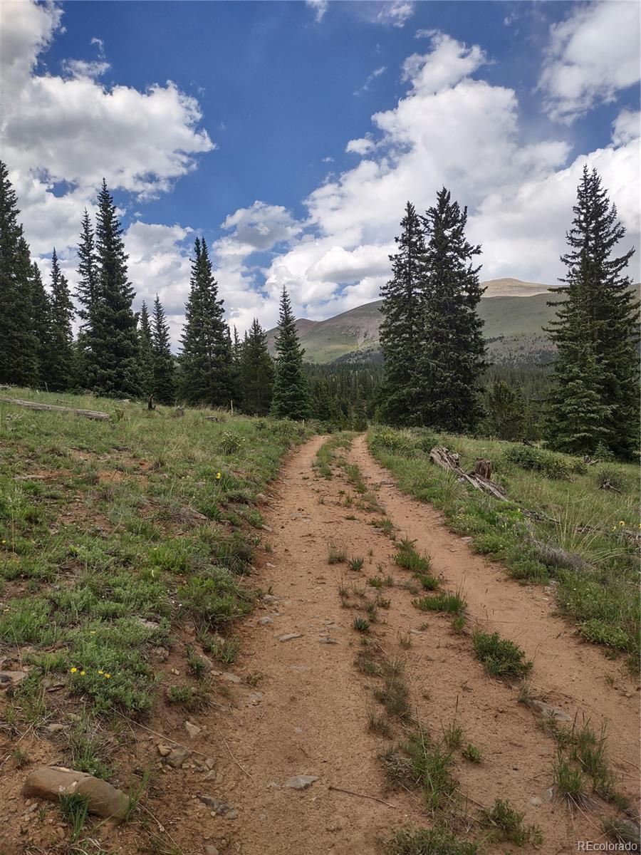 0 Snow Cap Peaks Road Fairplay, CO 80440 - Photo 3 of 20