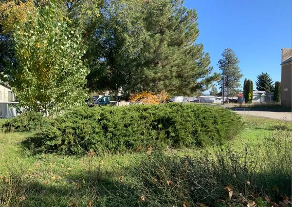 $49,999 | Unassigned Unassigned Main & 2nd Street, Mead, WA 99021