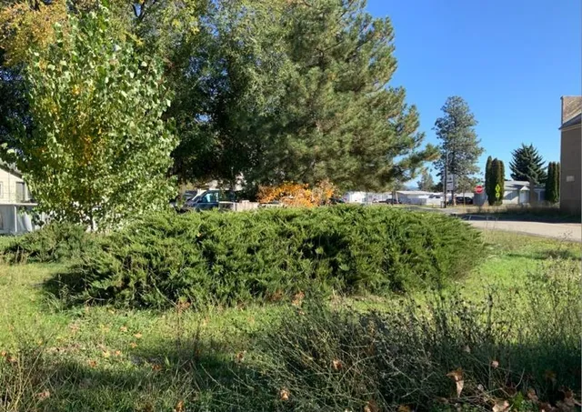 $49,999 | Unassigned Unassigned Main & 2nd Street, Mead, WA 99021