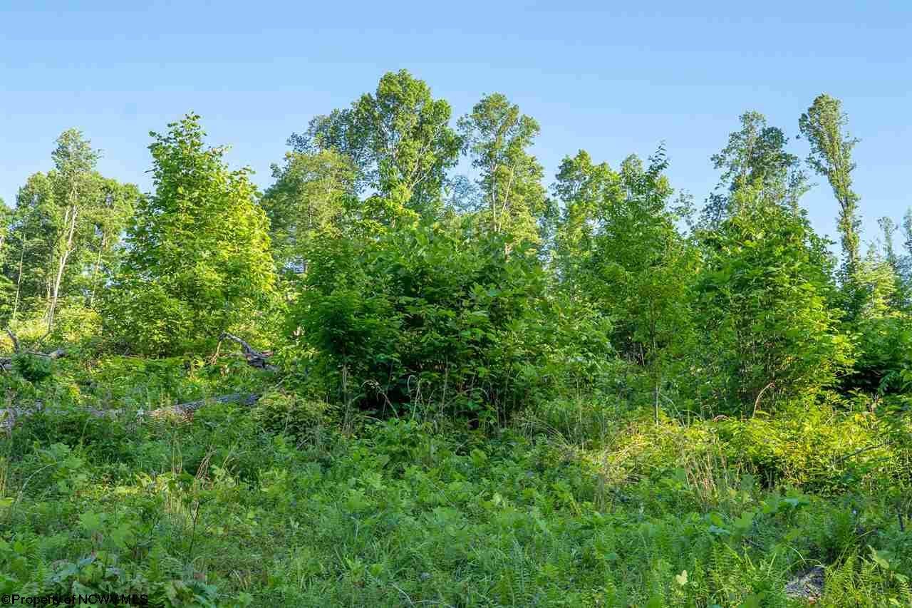Tbd Hunter Ridge Road Rock Cave, WV 26234 - Photo 17 of 20 Gallery Image 17