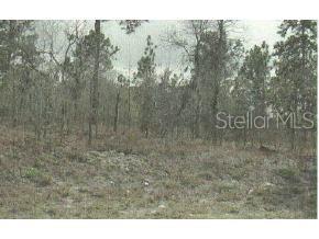 16732 Southwest 47th Place Road Ocala, FL 34481 - Photo 1 of 1 Primary Photo