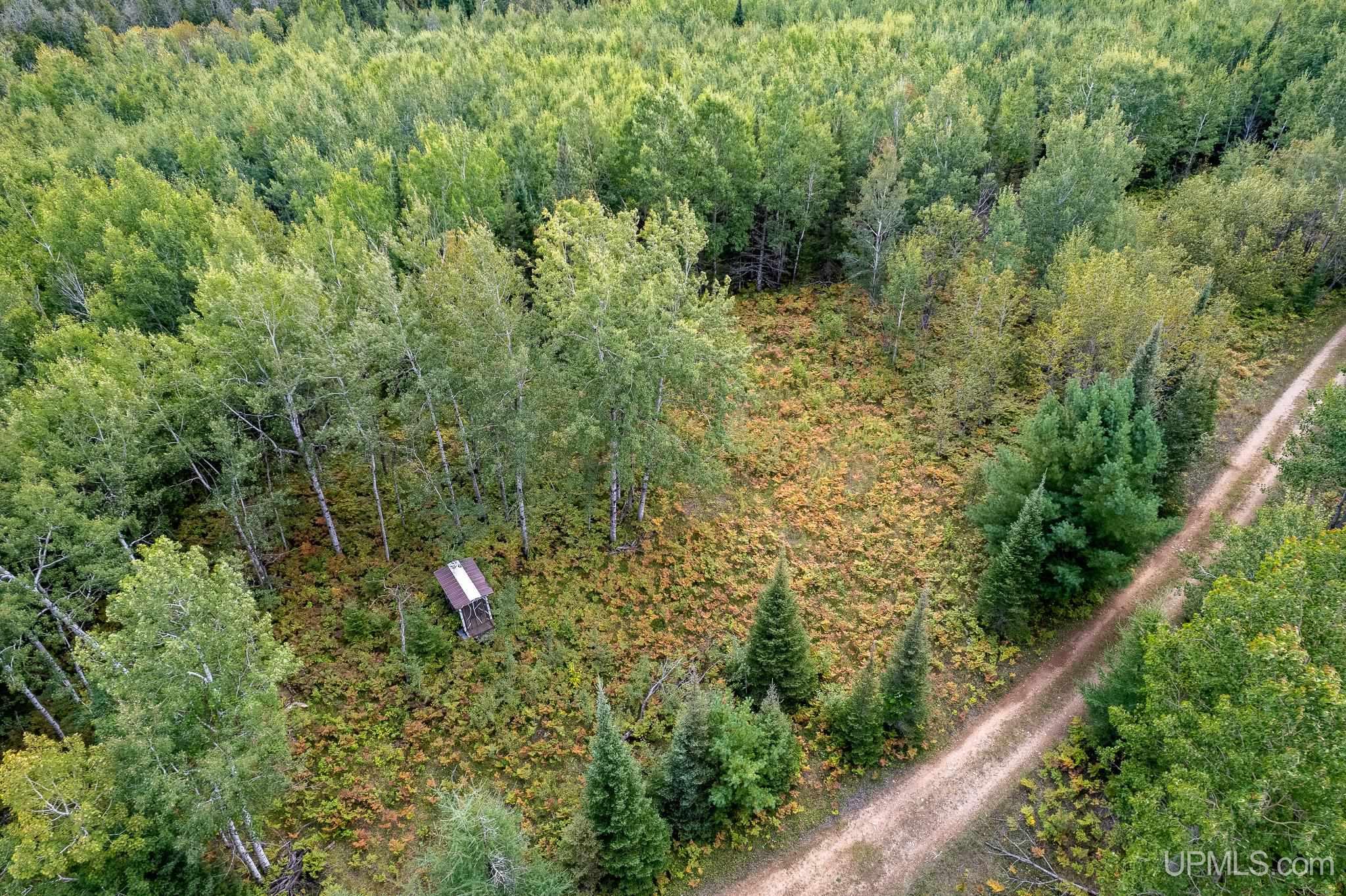 Tbd Off River Road North 40 Road Perronville, MI 49873 - Photo 4 of 12