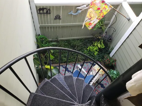 a view of a backyard with plants