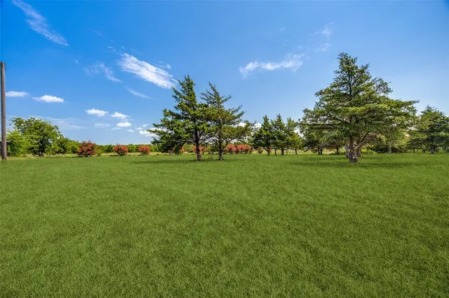 a view of yard with an trees