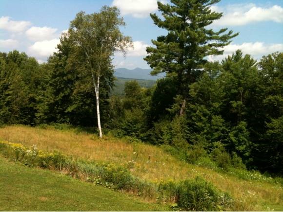 83 High Meadow Road Stowe, VT 05672 - Photo 8 of 9 Gallery Image 8