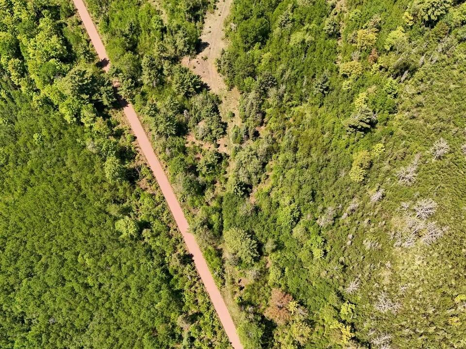 16 Federal Forest Highway Iron River, MI 49935 - Photo 7 of 12 8