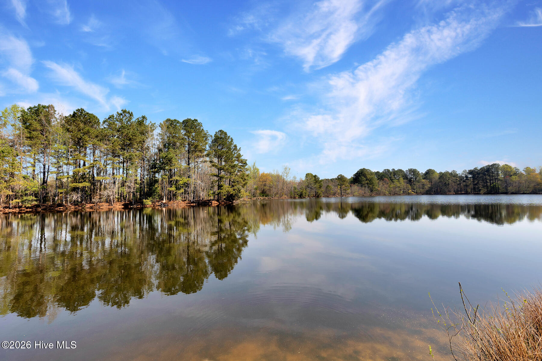 4609 Lobelia Road Vass, NC 28394 - Photo 33 of 37 back-water-view