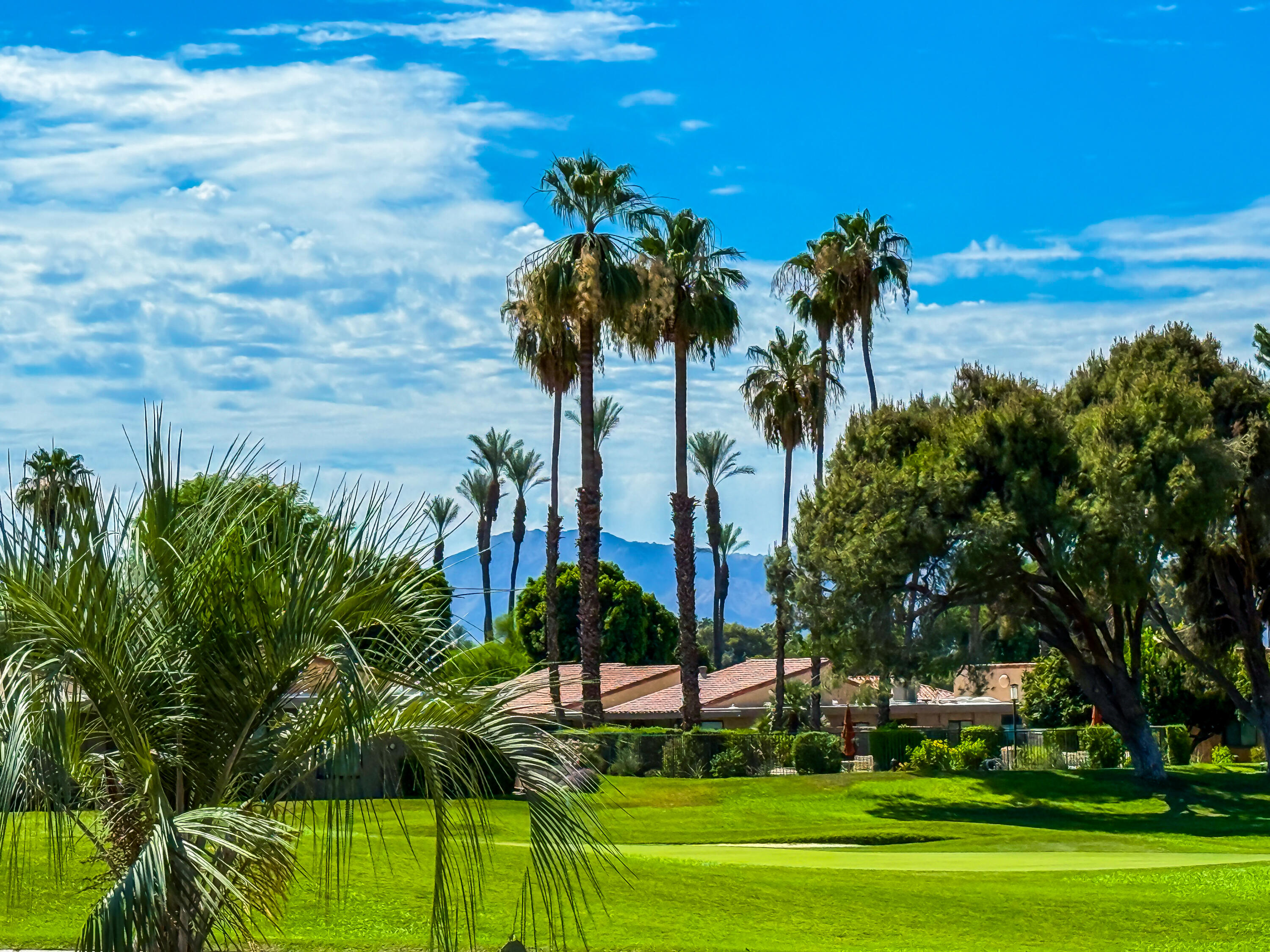 2 Haig Drive Rancho Mirage, CA 92270 - Photo 29 of 54 GOLF COURSE VIEW