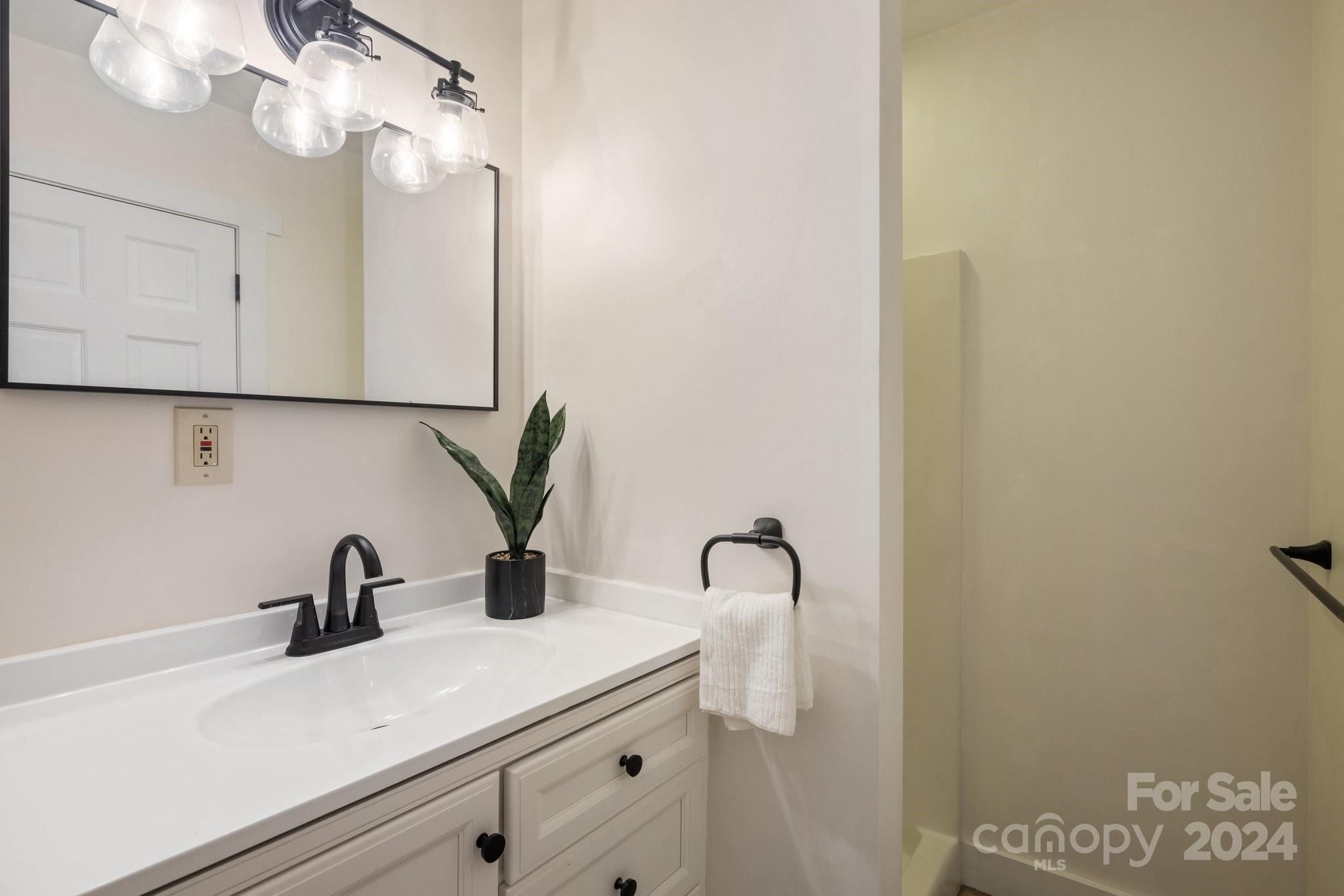 2 Devonshire Place Asheville, NC 28803 - Photo 30 of 47 a bathroom with a sink and a mirror