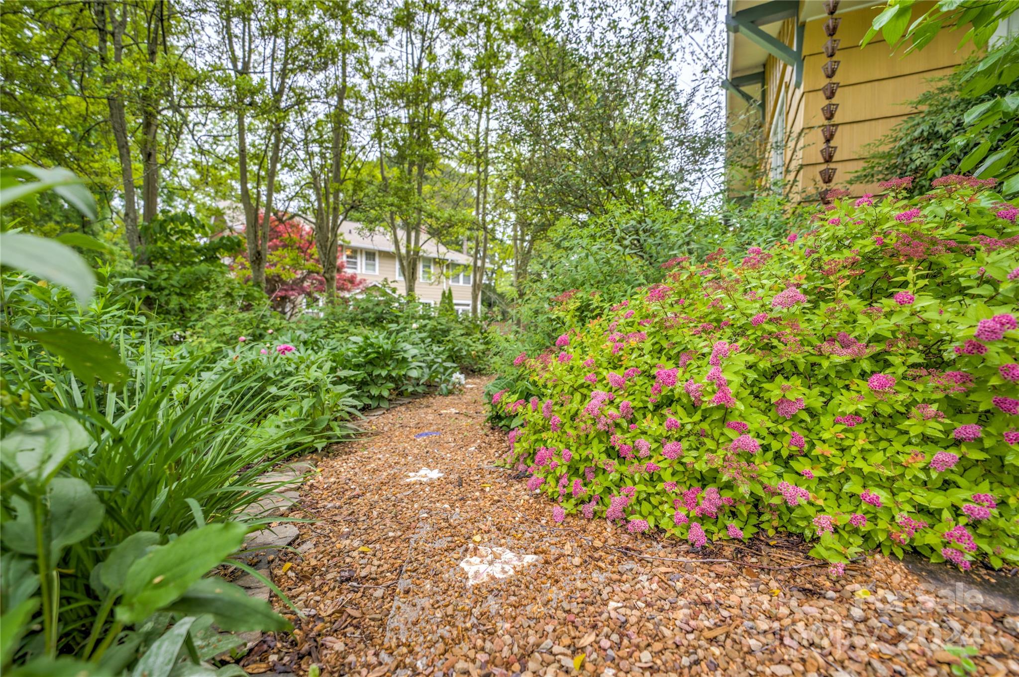 2 Devonshire Place Asheville, NC 28803 - Photo 36 of 47 a close up of a plant in a garden
