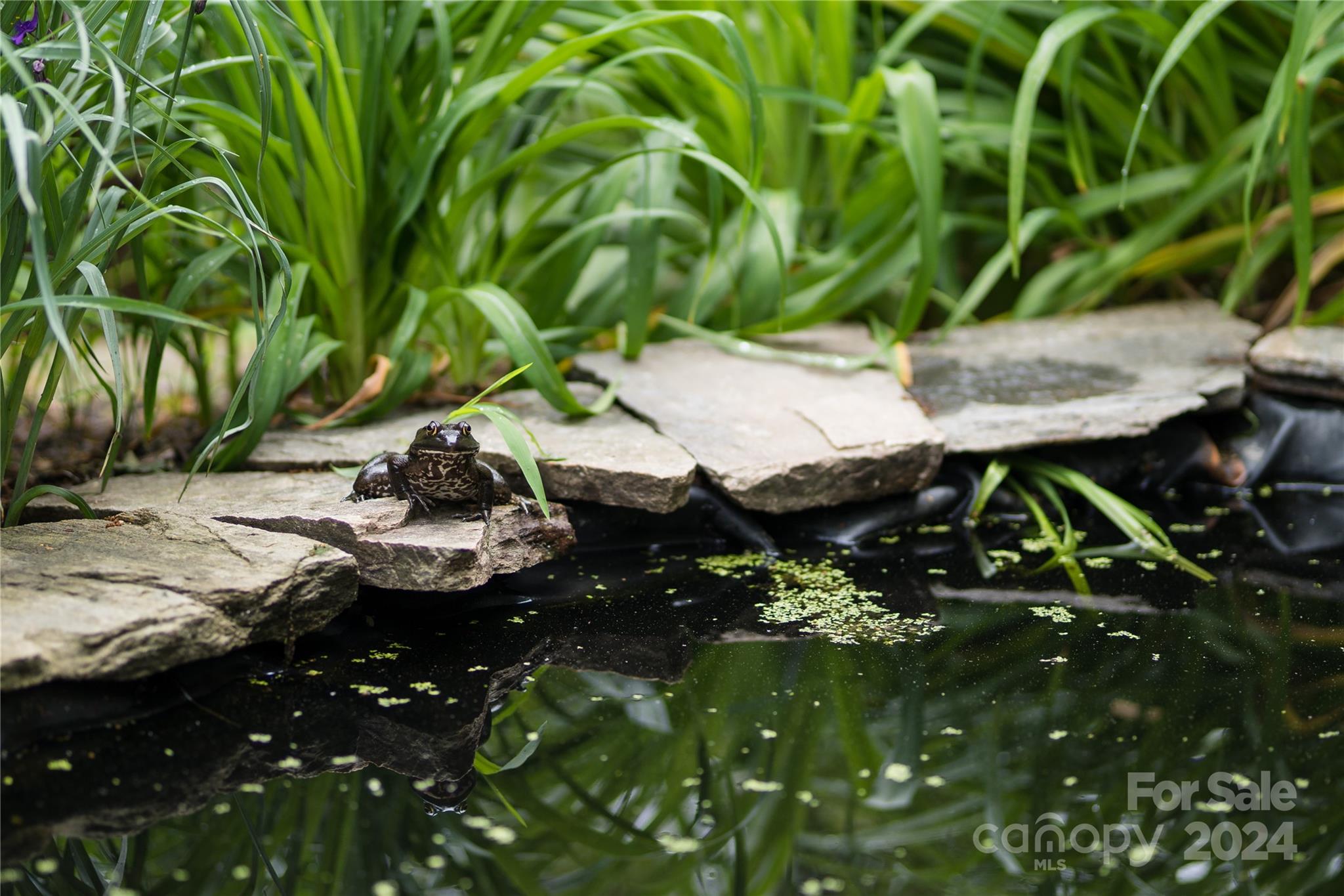 2 Devonshire Place Asheville, NC 28803 - Photo 46 of 47 a backyard of a house with table and chairs
