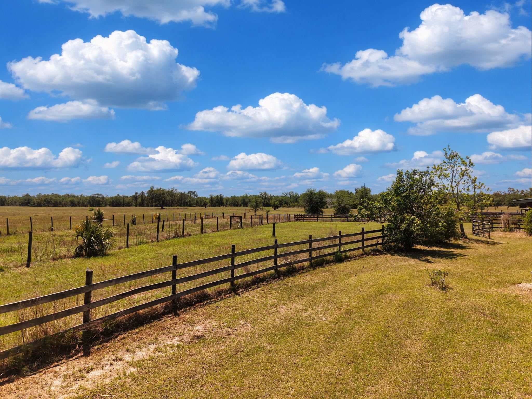 15270 Beach Road Perry, FL 32348 - Photo 41 of 65