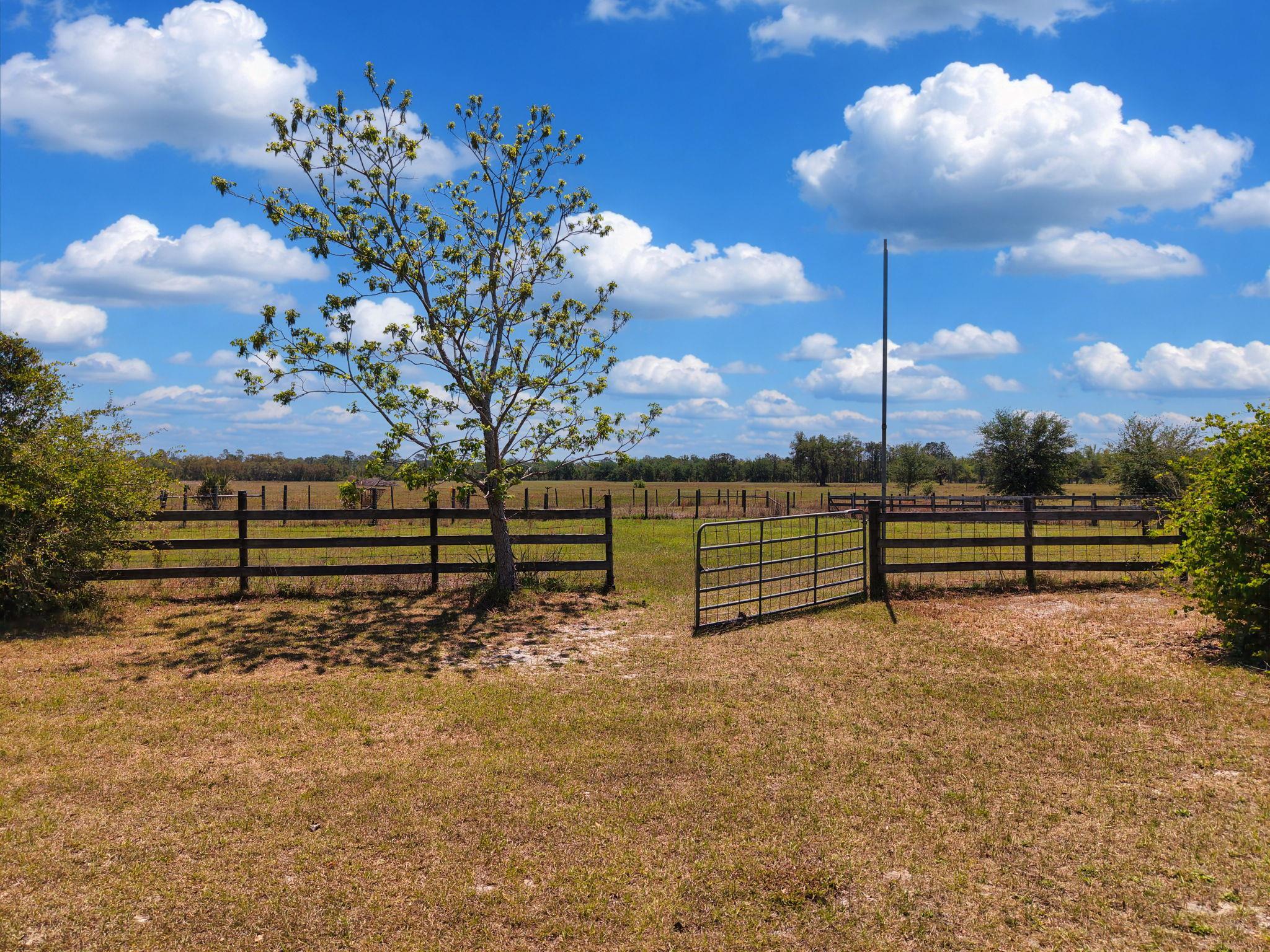 15270 Beach Road Perry, FL 32348 - Photo 42 of 65