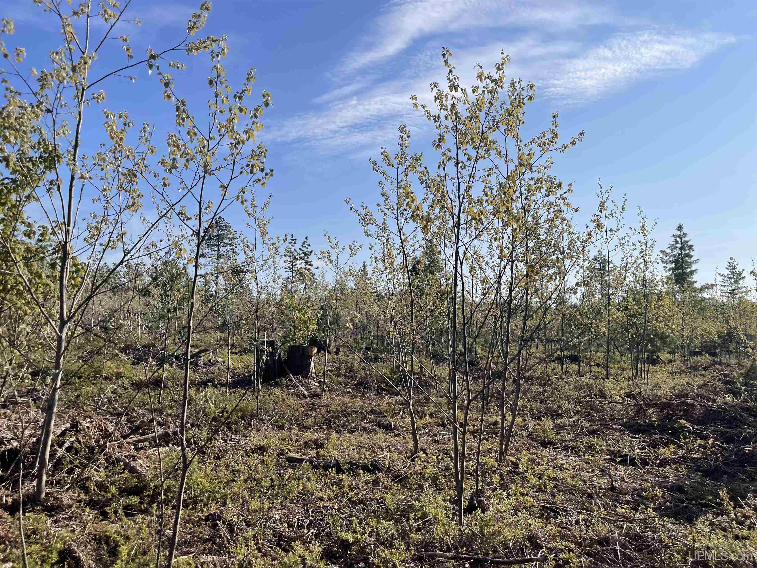 Tbd Tbd Hay Meadow Road Manistique, MI 49854 - Photo 35 of 51