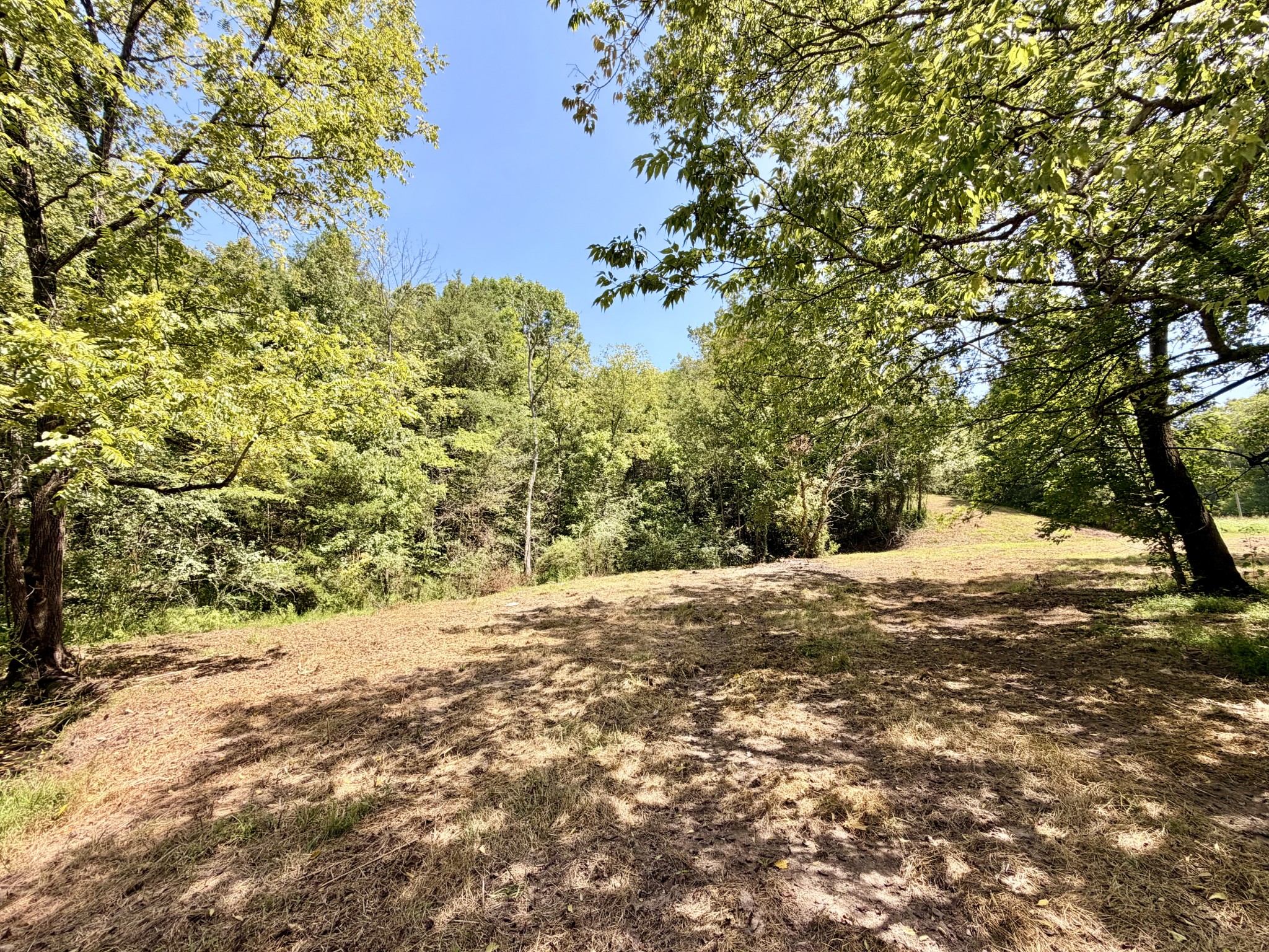 877 Hanna Branch Road Prospect, TN 38477 - Photo 24 of 49 Gallery Image 24