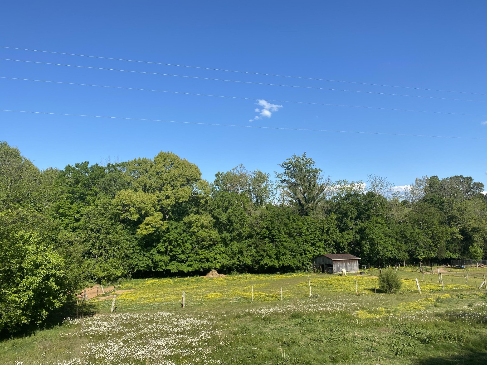 172 Kinser Branch Road Madisonville, TN 37354 - Photo 1 of 13 Gallery Image 1