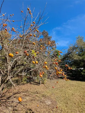 $59,900 | 397 Southeast 902nd Street, Old Town, FL 32680