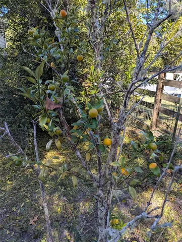 $59,900 | 397 Southeast 902nd Street, Old Town, FL 32680