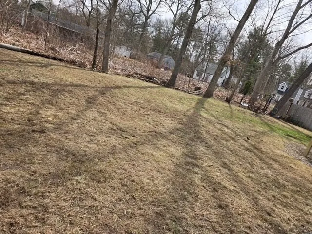a view of empty space with trees
