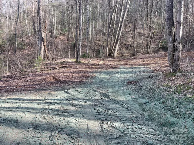 a view of outdoor space