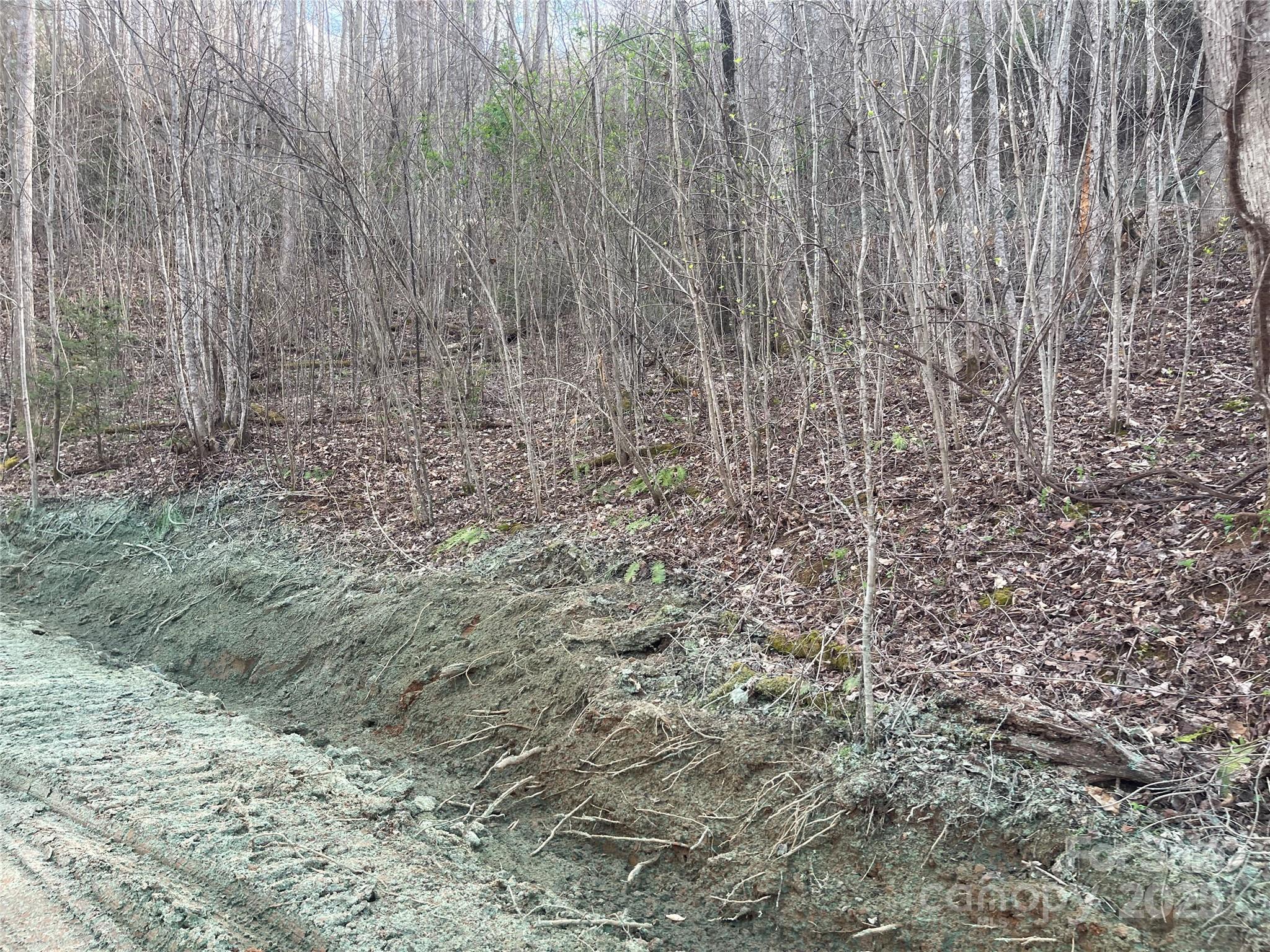 4 Copperhead Cove Road Sylva, NC 28779 - Photo 13 of 28