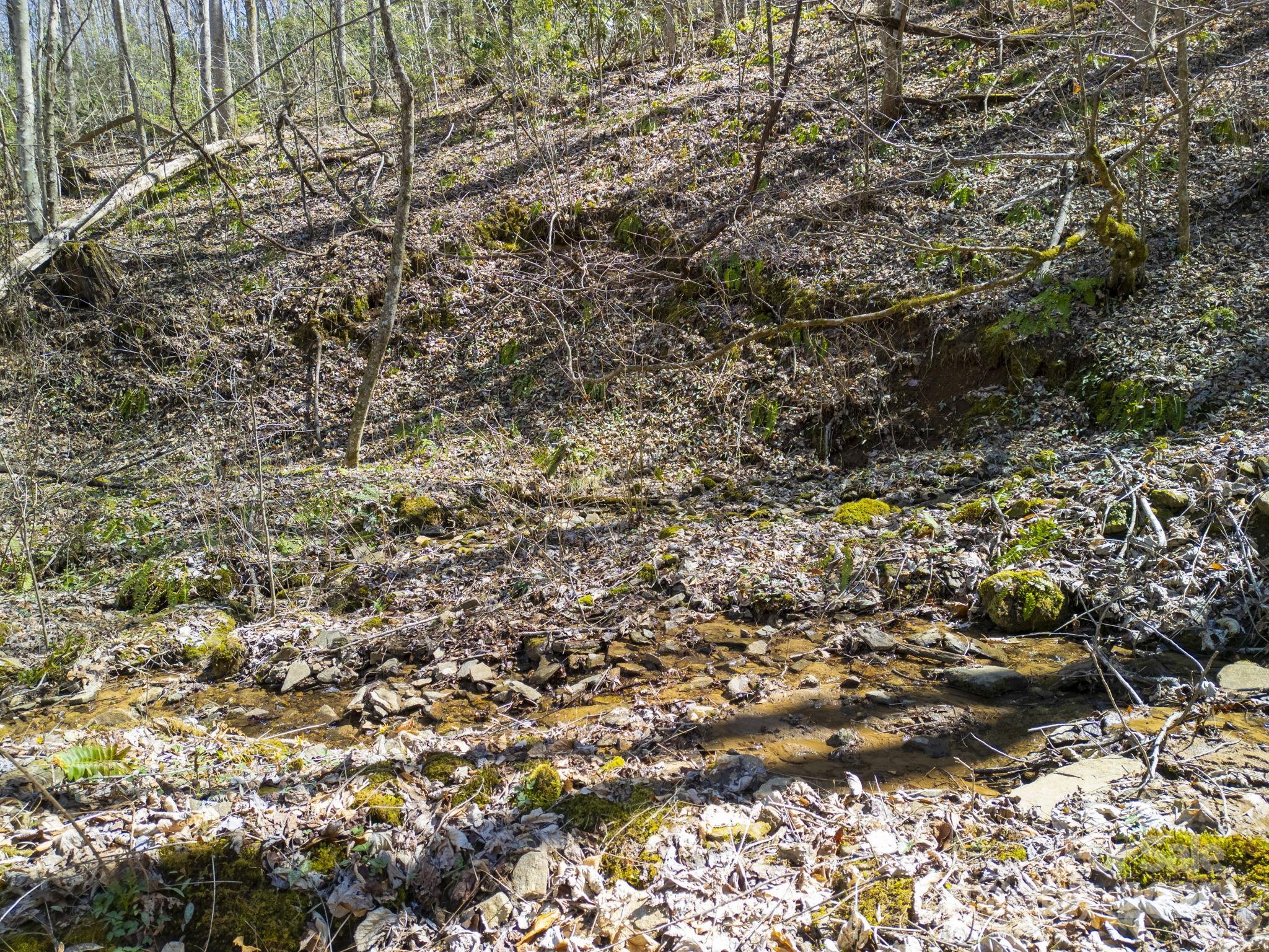 4 Copperhead Cove Road Sylva, NC 28779 - Photo 14 of 28 a view of outdoor space