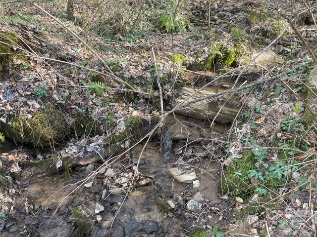 a view of a yard with trees