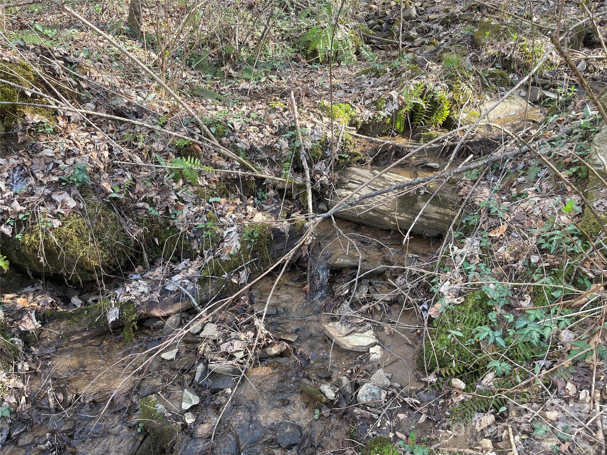 4 Copperhead Cove Road Sylva, NC 28779 - Photo 16 of 28 a backyard of a house with lots of green space