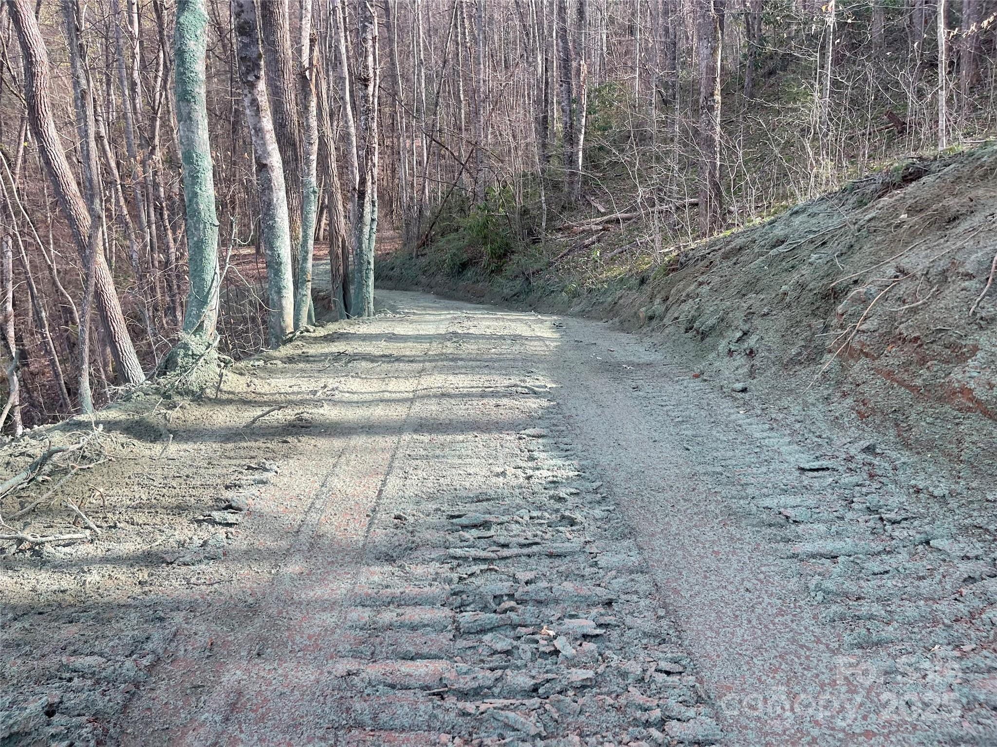 4 Copperhead Cove Road Sylva, NC 28779 - Photo 18 of 28 a view of a yard with trees
