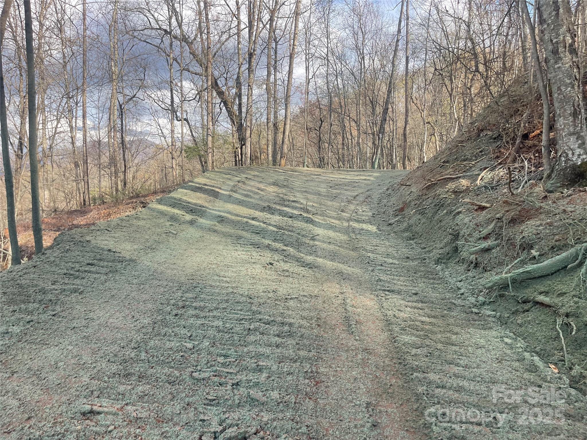 4 Copperhead Cove Road Sylva, NC 28779 - Photo 19 of 28 a view of empty space and trees