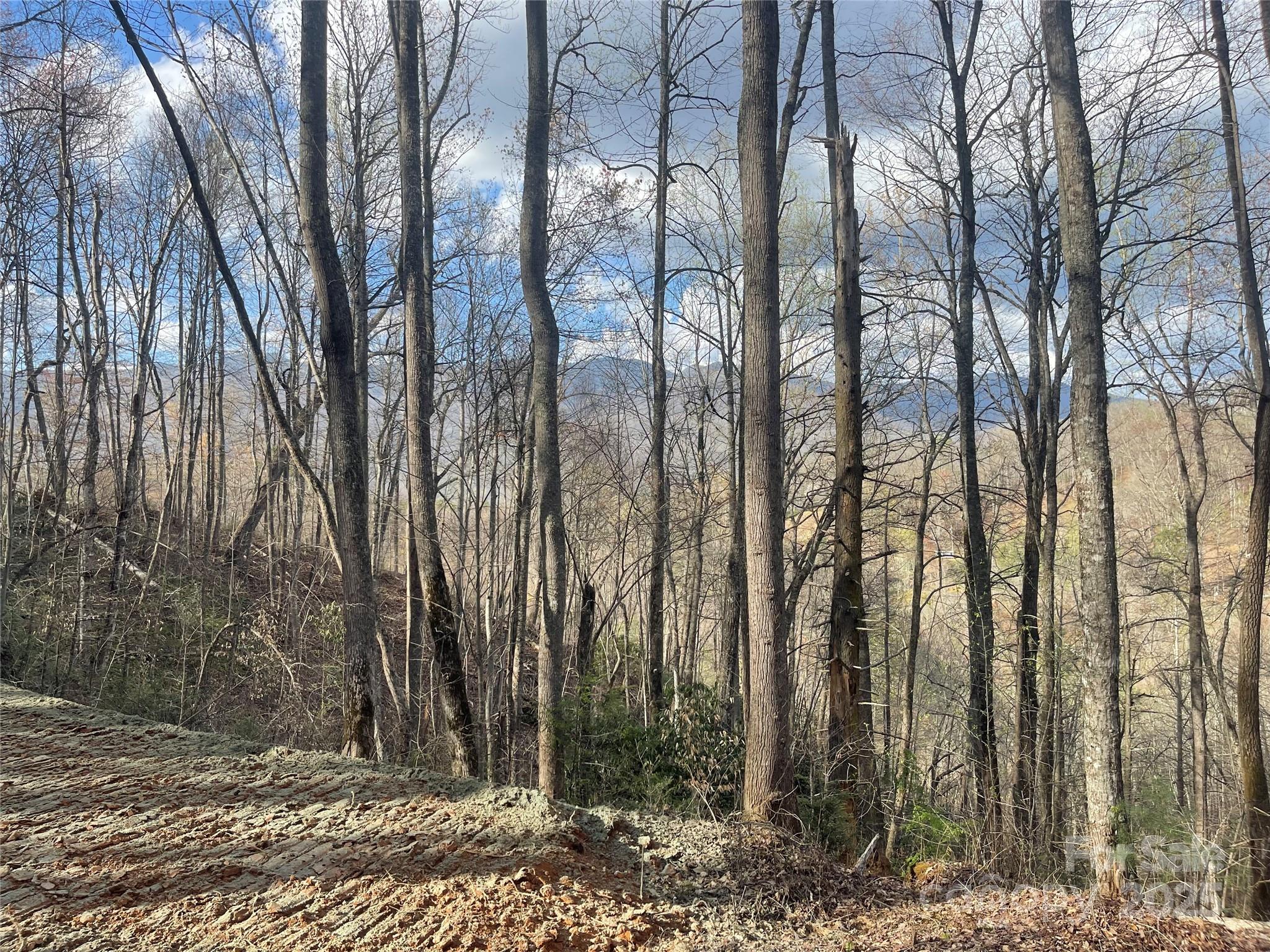 4 Copperhead Cove Road Sylva, NC 28779 - Photo 3 of 28 a view of lots of trees