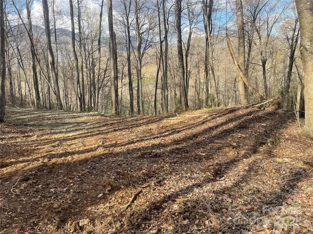 a view of a backyard of the house