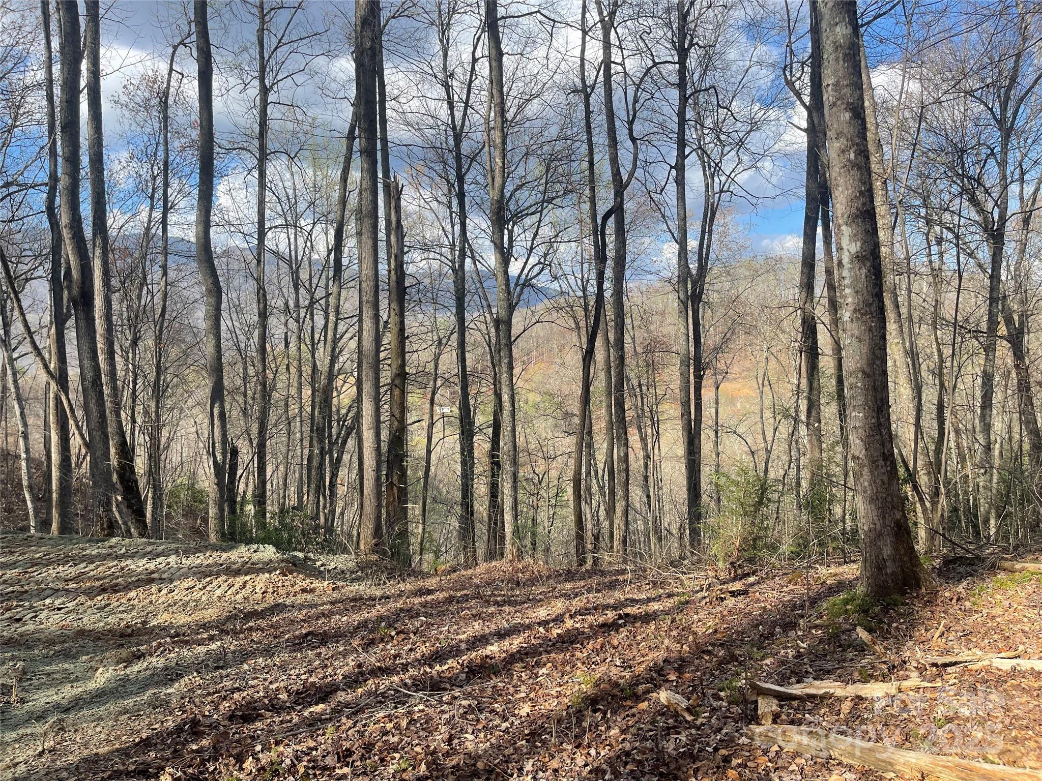 4 Copperhead Cove Road Sylva, NC 28779 - Photo 5 of 28 a view of a backyard of the house