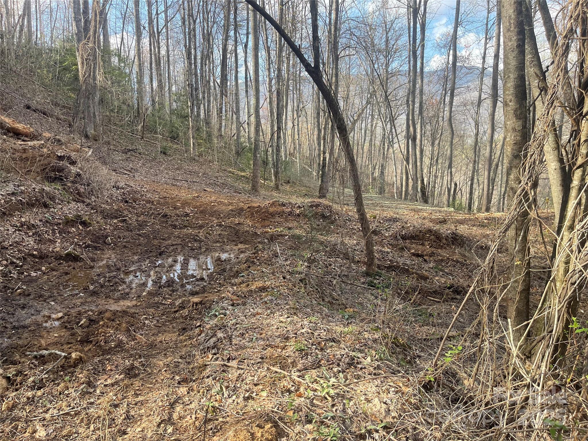 4 Copperhead Cove Road Sylva, NC 28779 - Photo 6 of 28 a backyard of a house with lots of green space