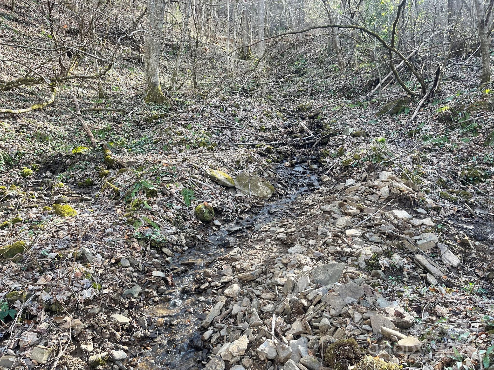4 Copperhead Cove Road Sylva, NC 28779 - Photo 9 of 28 a view of a field of the house