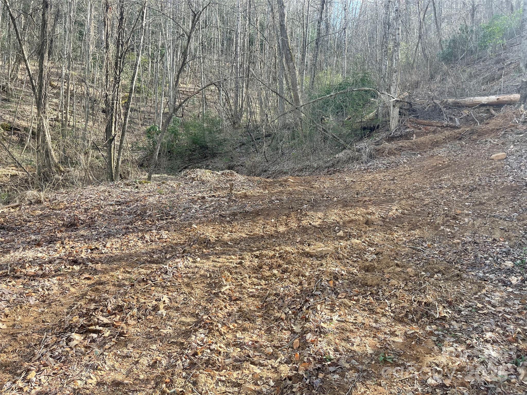 4 Copperhead Cove Road Sylva, NC 28779 - Photo 10 of 28 a view of a forest with trees in the background