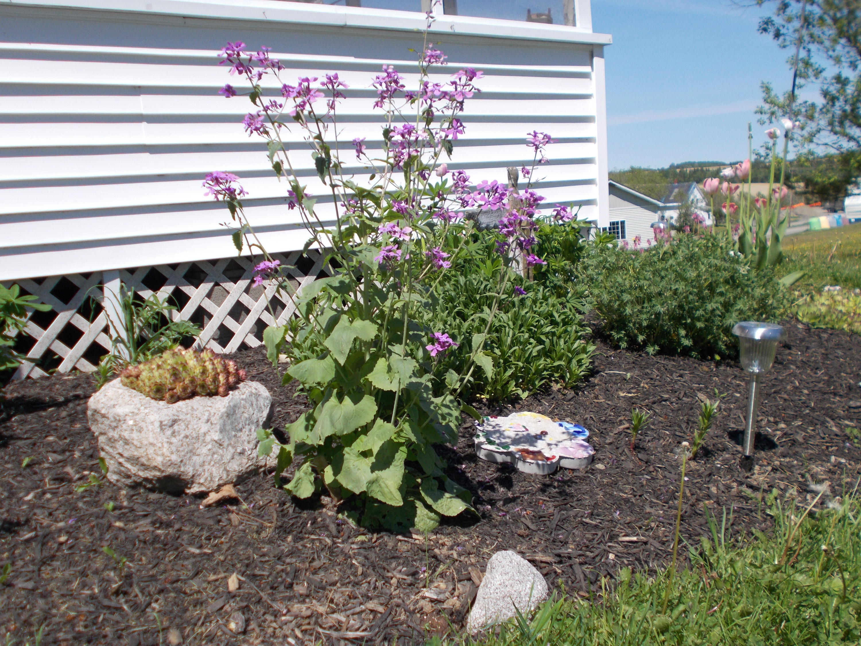 53 Church Street Limestone, ME 04750 - Photo 15 of 15 DSCN6804