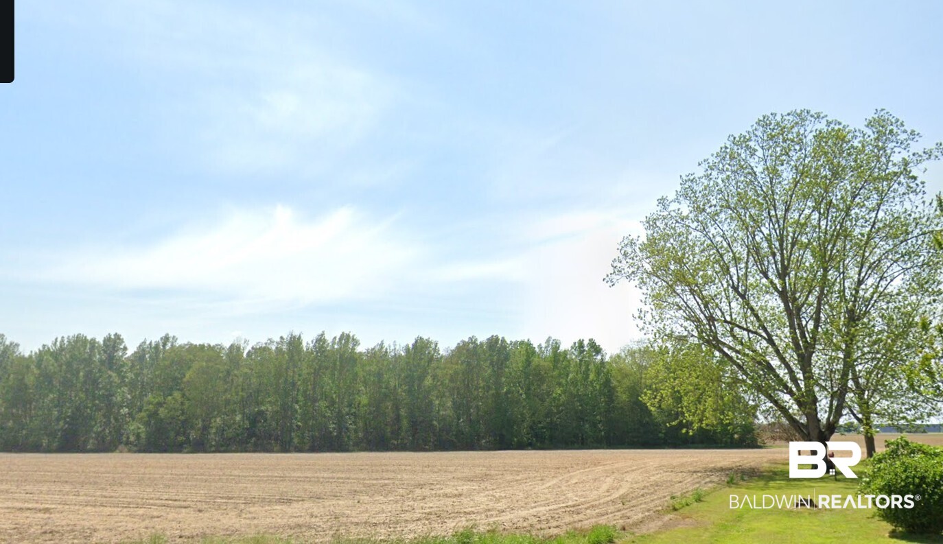 9109 Jack Springs Road Atmore, AL 36502 - Photo 3 of 16 Jack Springs Road View