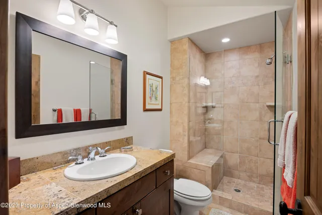 a bathroom with a sink a toilet and shower